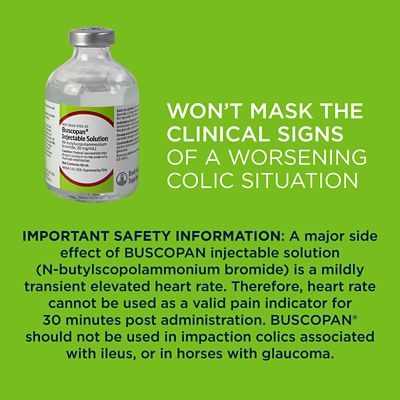 Image showing  Injectable Solution, N-butylscopolammonium bromide, 50 mL