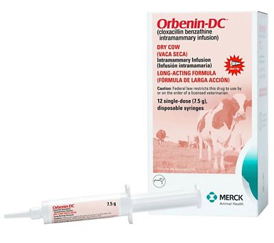 Orbenin-DC (Cloxacillin Benzathine Intramammary Infusion) for Dry Cows, 7.5g