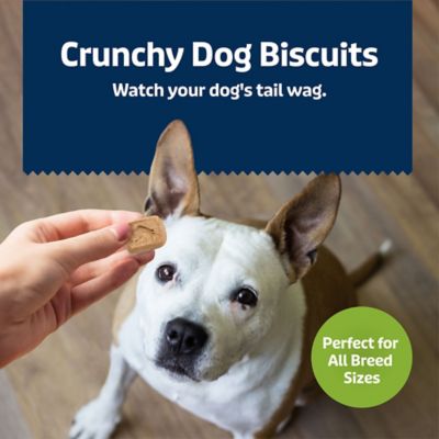 Image showing  Mini Health Bars With Apple & Yogurt, 16 oz.