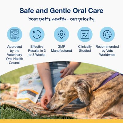 Image showing  PlaqueOff Chicken Flavor Bone Dental Treat