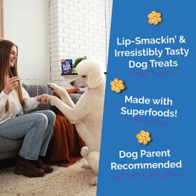 Image showing  Baked Pumpkin Blueberry Treat, 12 oz.