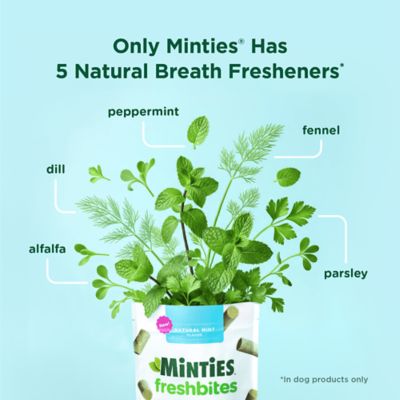 Image showing 5 th Minties FreshBites Soft and Chewy Dental Dog Treats, 5 oz.