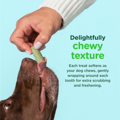 Image showing  FreshBites Soft and Chewy Dental Dog Treats, 10 oz.
