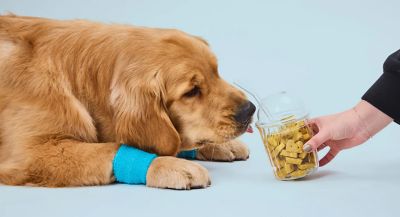 Image showing  Bac'n Nutty Soft & Chewy Dog Treats, 12 oz.