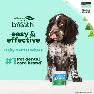 Image showing  Dental Wipes for Dogs, 50 ct.