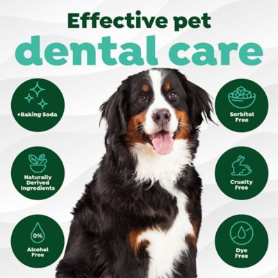 Image showing  Dental Wipes for Dogs, 50 ct.