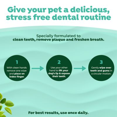 Image showing 5 th TropiClean Dental Wipes for Dogs, 50 ct.