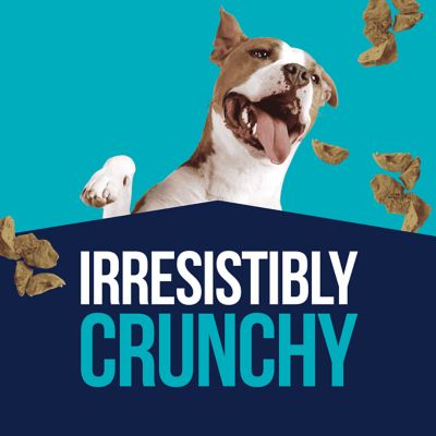 Image showing 2 th Stewart Freeze Dried Chicken Liver, 16.8 oz. Tub