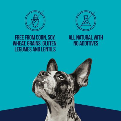 Image showing 4 th Stewart Freeze Dried Chicken Liver, 16.8 oz. Tub