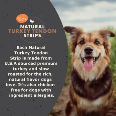 Image showing  Turkey Tendon Strips, 3 oz.