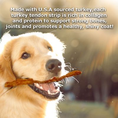 Image showing  Turkey Tendon Strips, 3 oz.