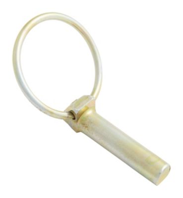 Image showing  7/16 in. Lynch Pin with Chain