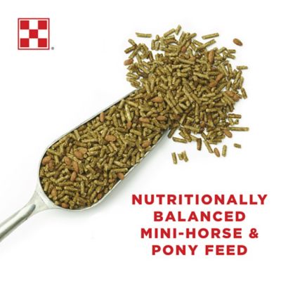 Image showing  Miniature Horse and Pony Feed, 50 lb. Bag