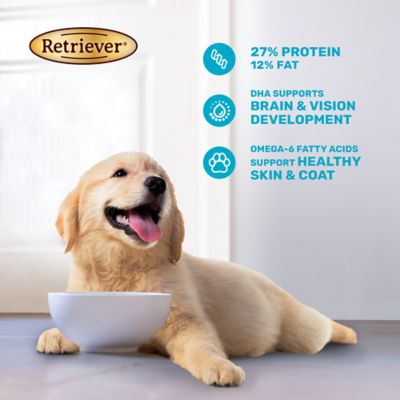 Image showing  Puppy Blend Savory Chicken Recipe Dry Dog Food