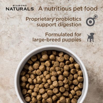 Image showing  Large Breed Puppy Lamb and Rice Formula Dry Dog Food