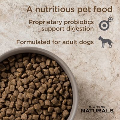 Image showing  Adult Lamb Meal and Rice Formula Dry Dog Food