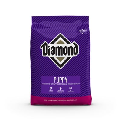 blue diamond puppy