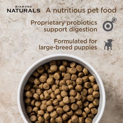 Image showing  Large Breed Puppy Lamb and Rice Formula Dry Dog Food