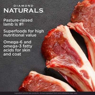 Image showing  Large Breed Puppy Lamb and Rice Formula Dry Dog Food