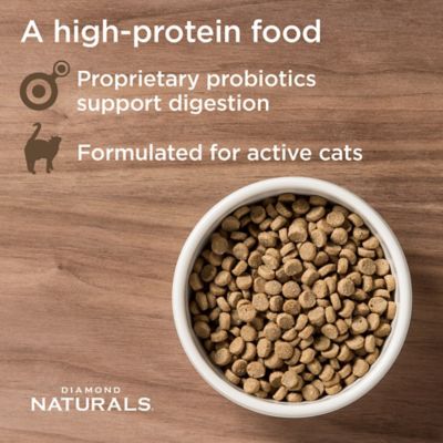 Image showing  Active Cat Adult Indoor Chicken Meal and Rice Formula Dry Cat Food, 18 lb. Bag