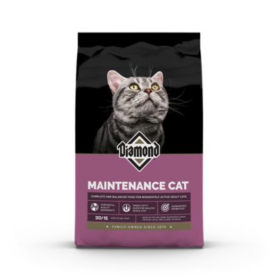 Diamond Maintenance Adult Cat Formula Dry Cat Food