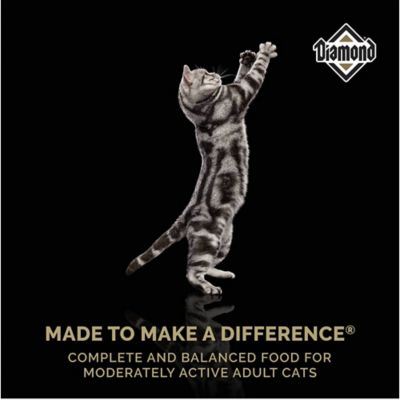 Image showing  Maintenance Adult Indoor/Outdoor Chicken Recipe Dry Cat Food