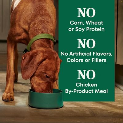 Image showing 6 th Nutro Natural Choice Senior Chicken and Brown Rice Recipe Dry Dog Food