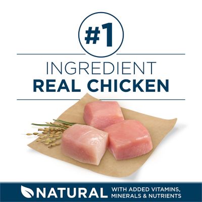 Image showing  Plus Large Breed Adult Chicken Formula Dry Dog Food