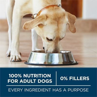 Image showing 6 th Purina ONE Plus Large Breed Adult Chicken Formula Dry Dog Food