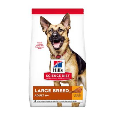 diet dog food