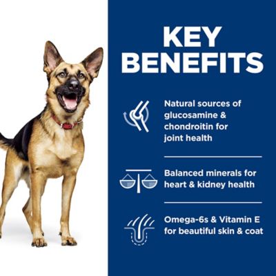 Image showing  Adult 6+ Large Breed Chicken Meal, Rice, & Barley Recipe Dry Dog Food