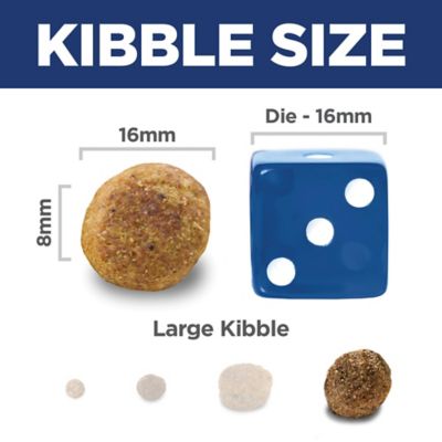 Image showing  Large Breed Adult Light Chicken and Barley Recipe Dry Dog Food