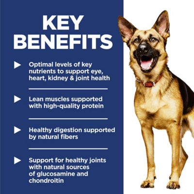 Image showing  Adult 6+ Large Breed Chicken Meal, Rice, & Barley Recipe Dry Dog Food