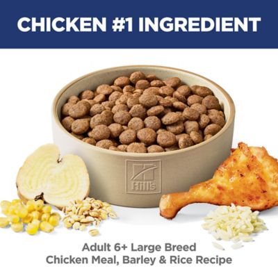 Image showing  Adult 6+ Large Breed Chicken Meal, Rice, & Barley Recipe Dry Dog Food