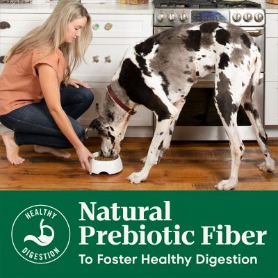 Image showing 5 th Nutro Natural Choice Adult Chicken and Brown Rice Recipe Dry Dog Food