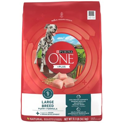 Purina ONE Plus Large Breed Puppy Food Dry Formula