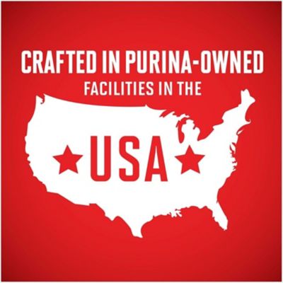 Image showing  Large Breed Puppy Formula Dry Dog Food