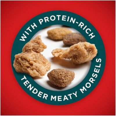 Image showing  Large Breed Puppy Formula Dry Dog Food