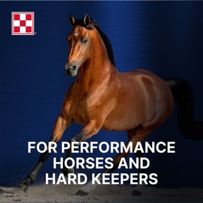 Image showing  Ultium Competition Horse Formula Feed, 50 lb.