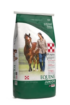 Purina Equine Junior Horse Feed, 50 lb. bag Best young horse feed
