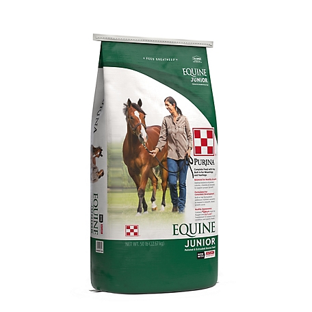 9" Feeder RED **MULTI-BUY DISCOUNT** Equine Horse and Pony Treat Snack Ball 
