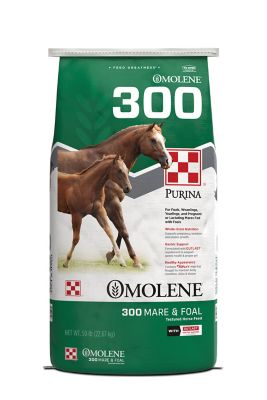 Purina Omolene #300 Growth Foal and Lactating Mare Horse Feed, 50 lb.