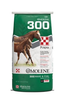 Purina Omolene #300 Growth Foal and Lactating Mare Horse Feed, 50 lb. Bag