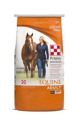 horse feed supplies
