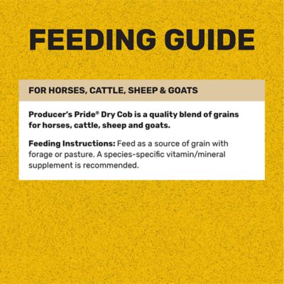 Image showing 5 th Producer's Pride Dry Cob Horse Feed, 50 lb. Bag