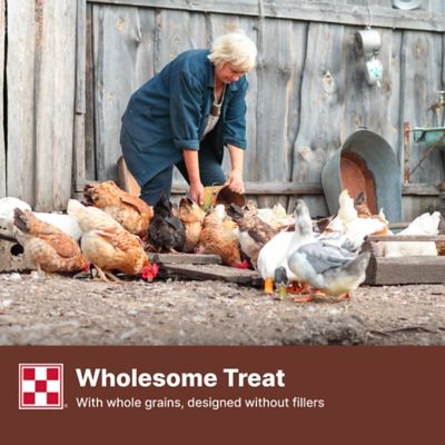 Image showing 5 th Purina Scratch Grains Premium Poultry Grains