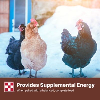 Image showing 6 th Purina Scratch Grains Premium Poultry Grains