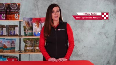 Image showing  Start and Grow Medicated Crumbles Chick Feed