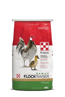 Purina Flock Raiser Crumbles Premium Poultry Feed, 50 lb ...