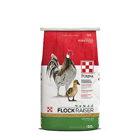 Purina Flock Raiser Crumbles Poultry Feed, 50 lb. Bag